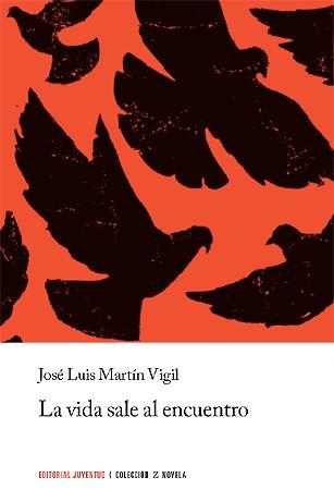 LA VIDA SALE AL ENCUENTRO | 9788426109859 | JOSE LUIS MARTIN VIGIL | Llibreria Cinta | Llibreria online de Terrassa | Comprar llibres en català i castellà online | Comprar llibres de text online
