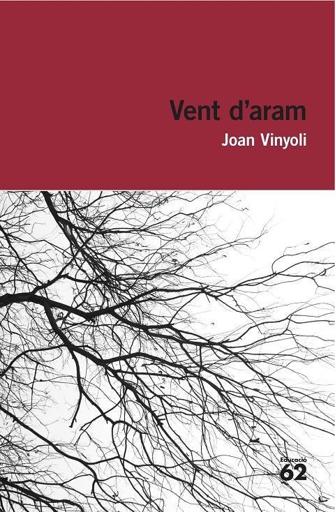 VENT D'ARAM | 9788415954248 | JOAN VINYOLI PLADEVALL | Llibreria Cinta | Llibreria online de Terrassa | Comprar llibres en català i castellà online | Comprar llibres de text online