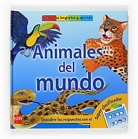 ANIMALES DEL MUNDO | 9788467517866 | MARSOLI, LISA | Llibreria Cinta | Llibreria online de Terrassa | Comprar llibres en català i castellà online | Comprar llibres de text online