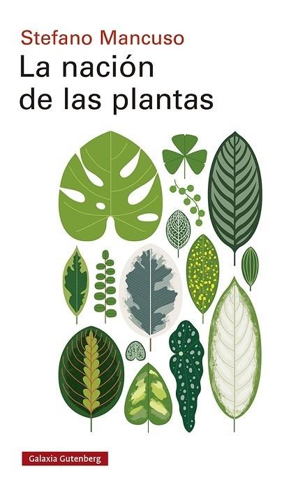 LA NACIÓN DE LAS PLANTAS | 9788417971557 | MANCUSO, STEFANO | Llibreria Cinta | Llibreria online de Terrassa | Comprar llibres en català i castellà online | Comprar llibres de text online