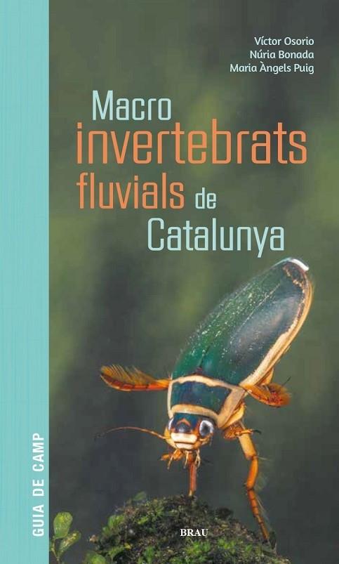 MACROINVERTEBRATS FLUVIALS DE CATALUNYA | 9788418096204 | OSORIO ÁLVAREZ, VÍCTOR/PUIG GARCÍA, M. ÁNGELES/BONADA CAPARRÓS, NÚRIA | Llibreria Cinta | Llibreria online de Terrassa | Comprar llibres en català i castellà online | Comprar llibres de text online