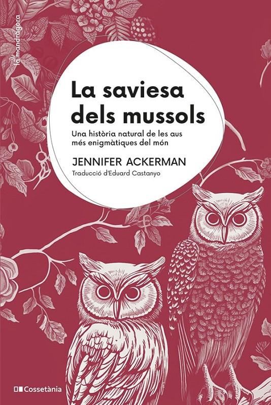 LA SAVIESA DELS MUSSOLS | 9788413563558 | ACKERMAN, JENNIFER | Llibreria Cinta | Llibreria online de Terrassa | Comprar llibres en català i castellà online | Comprar llibres de text online