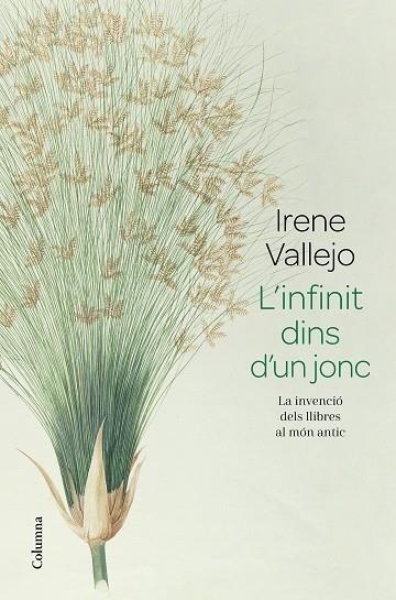 L'INFINIT DINS D'UN JONC | 9788466426947 | VALLEJO, IRENE | Llibreria Cinta | Llibreria online de Terrassa | Comprar llibres en català i castellà online | Comprar llibres de text online