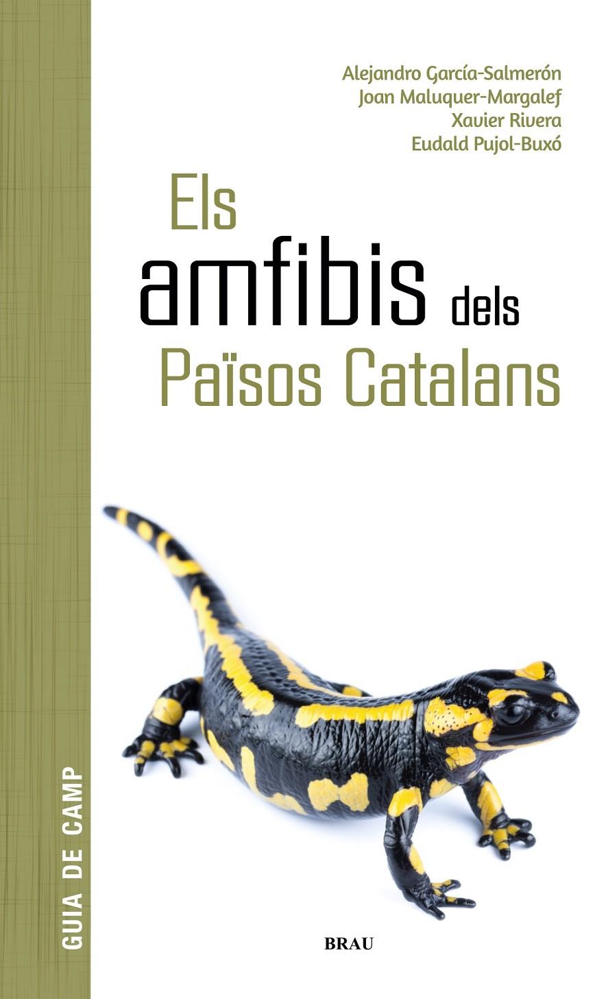 ELS AMFIBIS DELS PAÏSOS CATALANS | 9788418096341 | GARCÍA SALMERÓN, ALEJANDRO/MALUQUER MARGALEF, JOAN/RIVERA MULA, XAVIER/PUJOL BUXÓ, EUDALD | Llibreria Cinta | Llibreria online de Terrassa | Comprar llibres en català i castellà online | Comprar llibres de text online