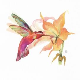 PRINT Hummingbird Love (flor toronja) 32x32 cm JOANA SANTAMANS | PJS037 | Llibreria Cinta | Llibreria online de Terrassa | Comprar llibres en català i castellà online | Comprar llibres de text online