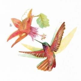 PRINT Hummingbird Love (flor filaments) 32x32 cm JOANA SANTAMANS | PJS040 | Llibreria Cinta | Llibreria online de Terrassa | Comprar llibres en català i castellà online | Comprar llibres de text online