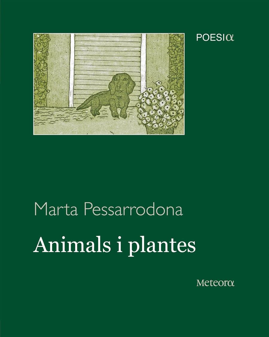 ANIMALS I PLANTES | 9788495623973 | PESSARRODONA, MARTA | Llibreria Cinta | Llibreria online de Terrassa | Comprar llibres en català i castellà online | Comprar llibres de text online