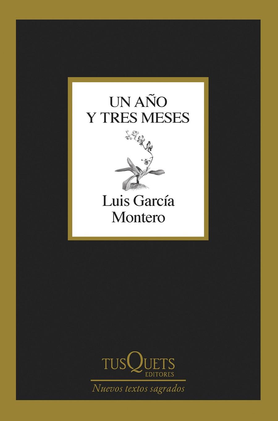 UN AÑO Y TRES MESES | 9788411071475 | GARCÍA MONTERO, LUIS | Llibreria Cinta | Llibreria online de Terrassa | Comprar llibres en català i castellà online | Comprar llibres de text online