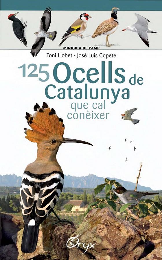 125 OCELLS DE CATALUNYA | 9788490346747 | LLOBET FRANÇOIS, TONI/COPETE, JOSÉ LUIS | Llibreria Cinta | Llibreria online de Terrassa | Comprar llibres en català i castellà online | Comprar llibres de text online