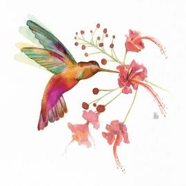 PRINT Hummingbird Love (flor composta) 32x32 cm JOANA SANTAMANS | PJS038 | Llibreria Cinta | Llibreria online de Terrassa | Comprar llibres en català i castellà online | Comprar llibres de text online