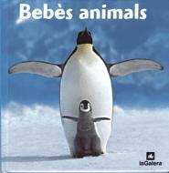 BEBÈS ANIMALS | 9788424624972 | DIVERSOS AUTORS | Llibreria Cinta | Llibreria online de Terrassa | Comprar llibres en català i castellà online | Comprar llibres de text online