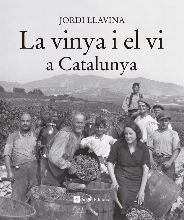 LA VINYA I EL VI A CATALUNYA | 9788416139187 | LLAVINA, JORDI | Llibreria Cinta | Llibreria online de Terrassa | Comprar llibres en català i castellà online | Comprar llibres de text online