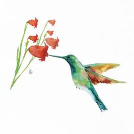 PRINT Hummingbird Love (flor campanes) 32x32 cm JOANA SANTAMANS | PJS039 | Llibreria Cinta | Llibreria online de Terrassa | Comprar llibres en català i castellà online | Comprar llibres de text online