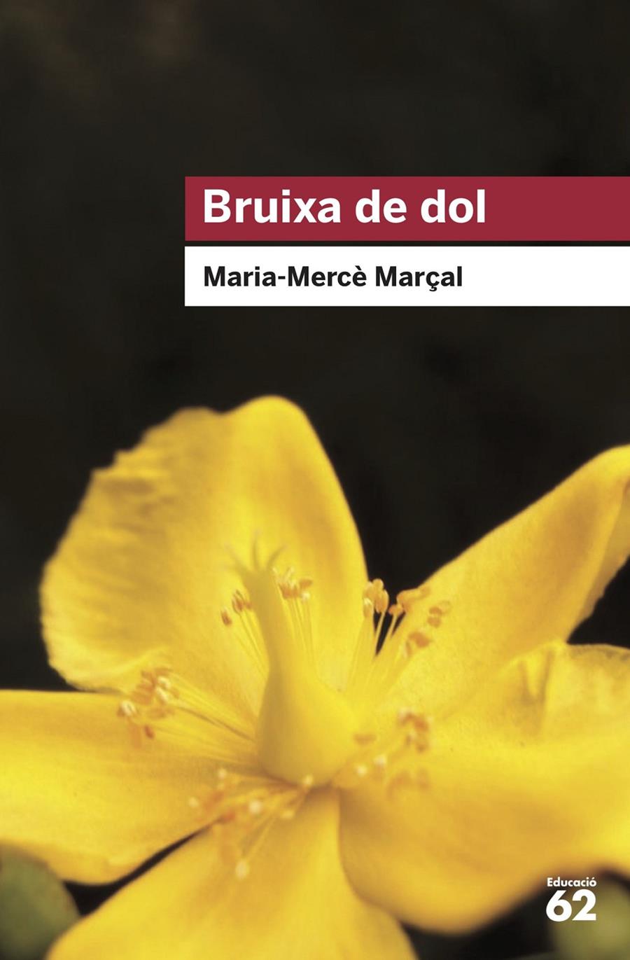BRUIXA DE DOL (1977-1979) (VERMELL) | 9788415954736 | MARÇAL, MARIA-MERCÈ | Llibreria Cinta | Llibreria online de Terrassa | Comprar llibres en català i castellà online | Comprar llibres de text online
